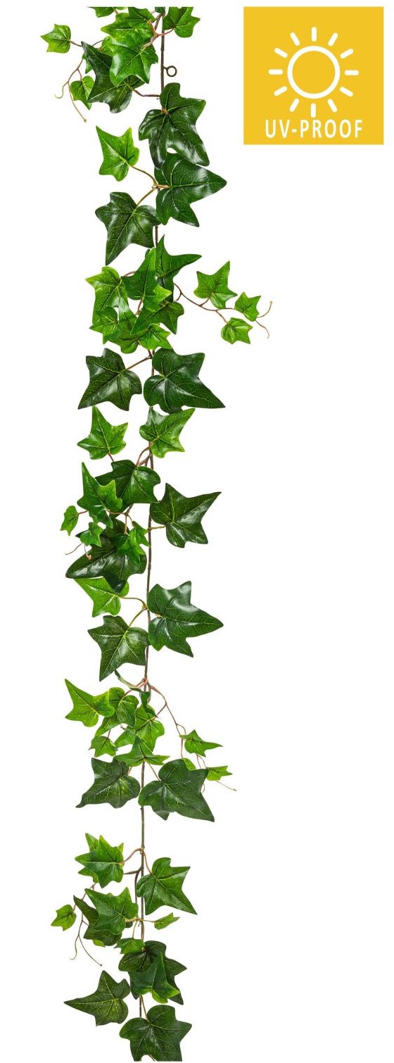 Efeugirlande UV x 79 150cm Farbe: grün