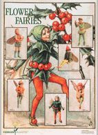 Poster-Flower-Fairies VI Farbe: grau