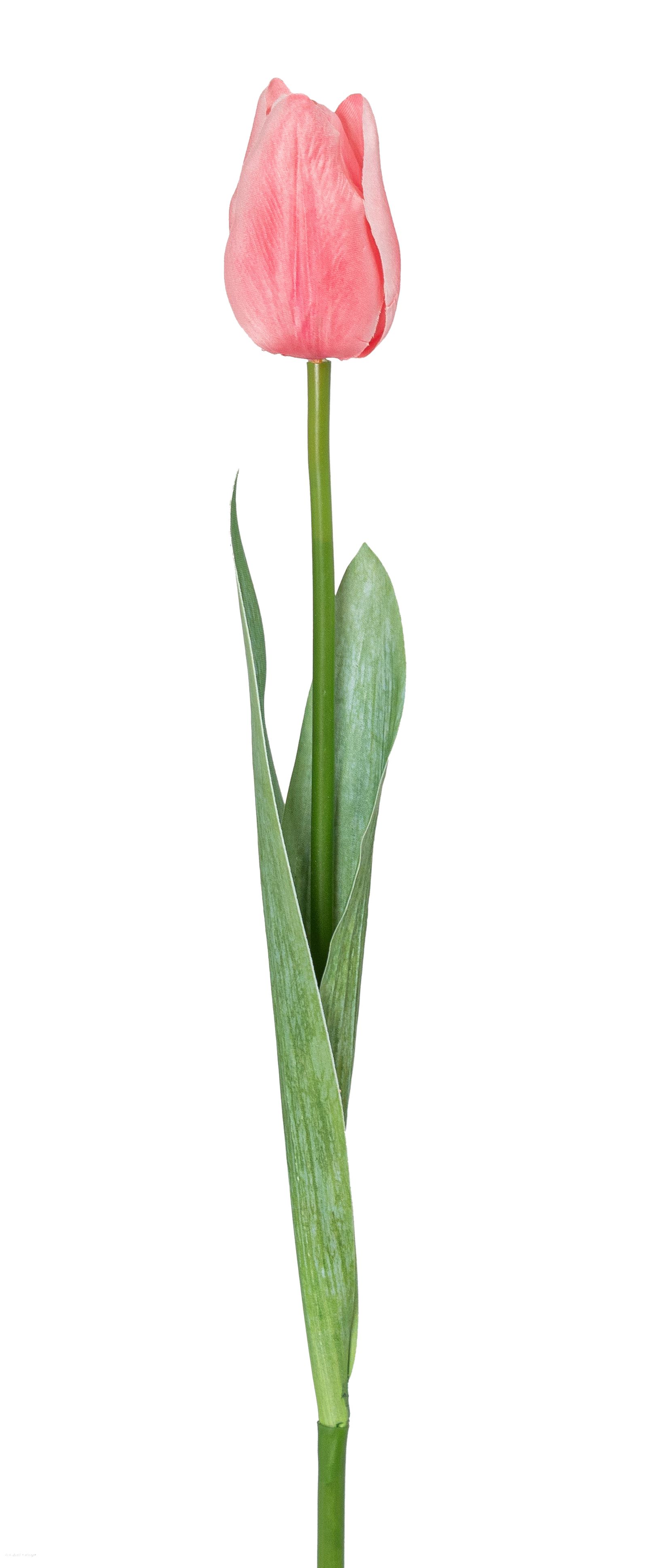 Tulpe 50cm Blütenkopf Ø ca. 4,5cm Farbe: rosé