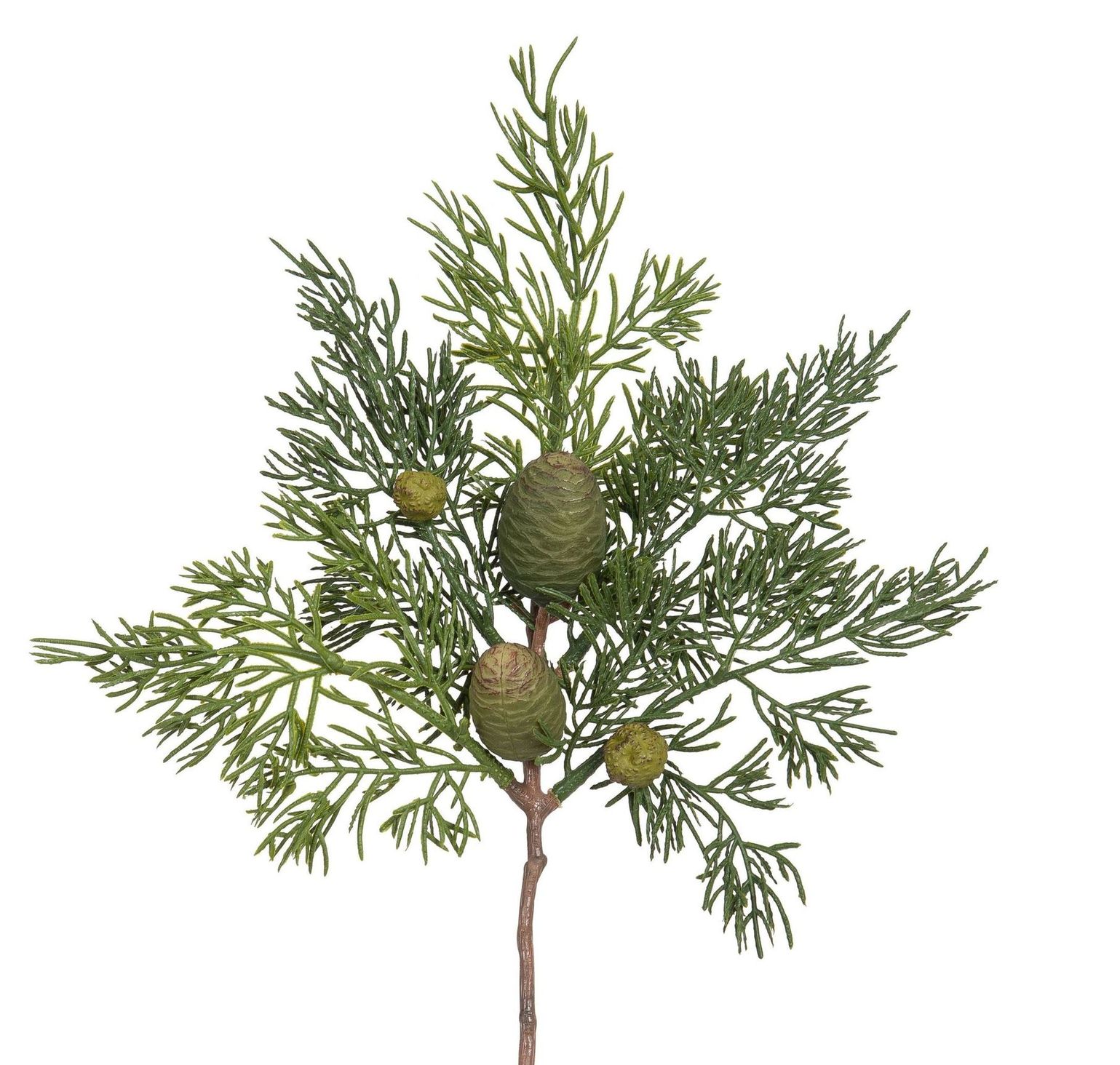 Zedernzapfenzweigchen 30cm Farbe: grün