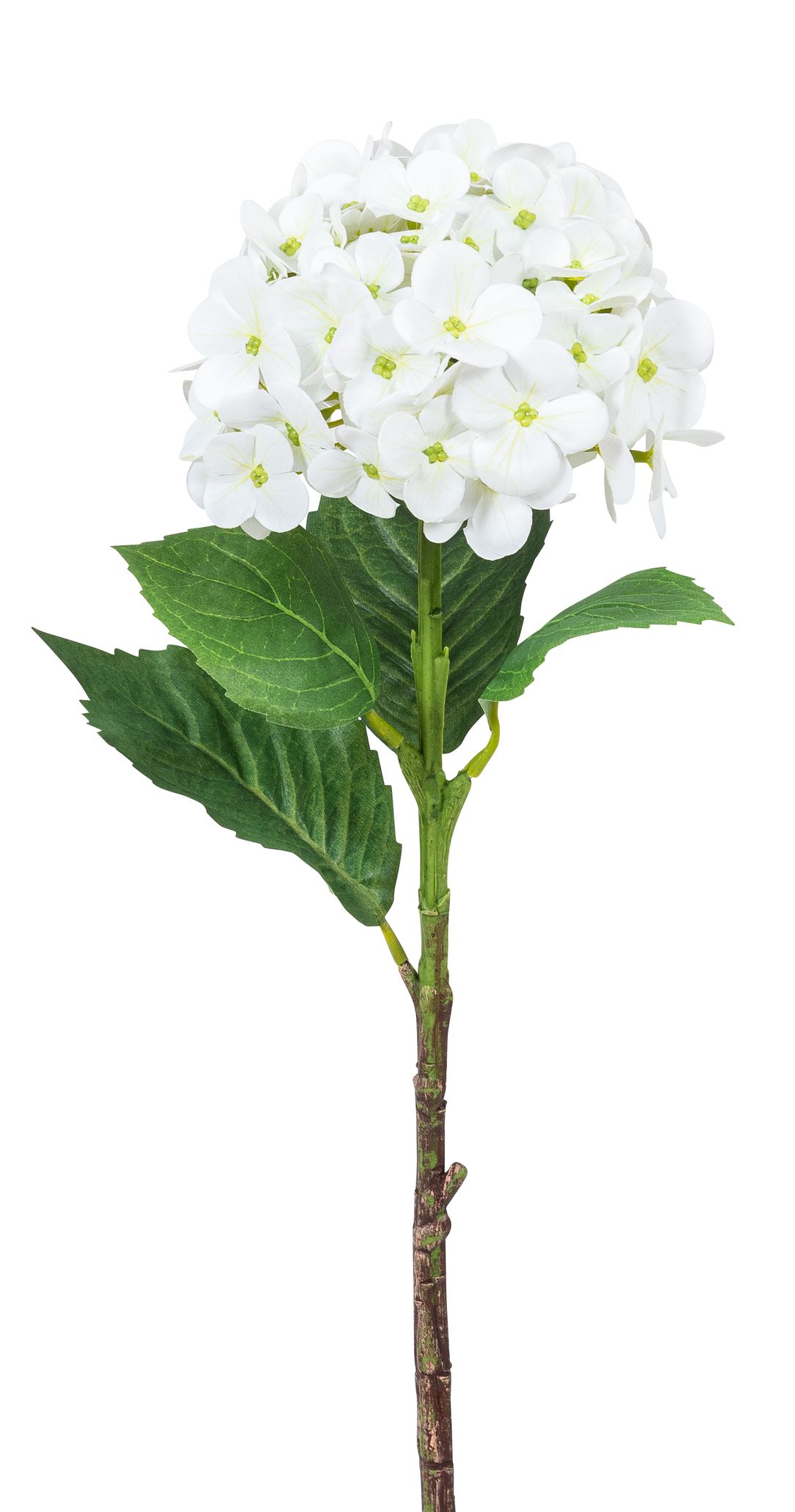 Hortensie 46cm Blütenkopf Ø ca. 13cm Farbe: weiß
