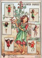 Poster-Flower-Fairies II Farbe: grau