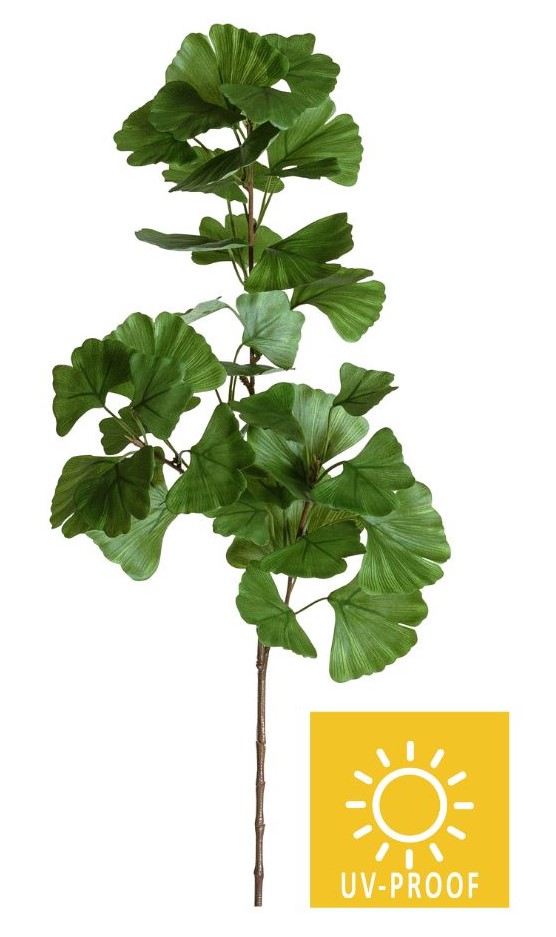 Ginkgoblätterzweig UV x 42 80cm Farbe: grün