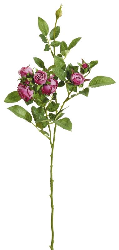 Kugelrosenzweig x 8 73cm Blütenkopf Ø ca. 3/4cm Farbe: altrosé