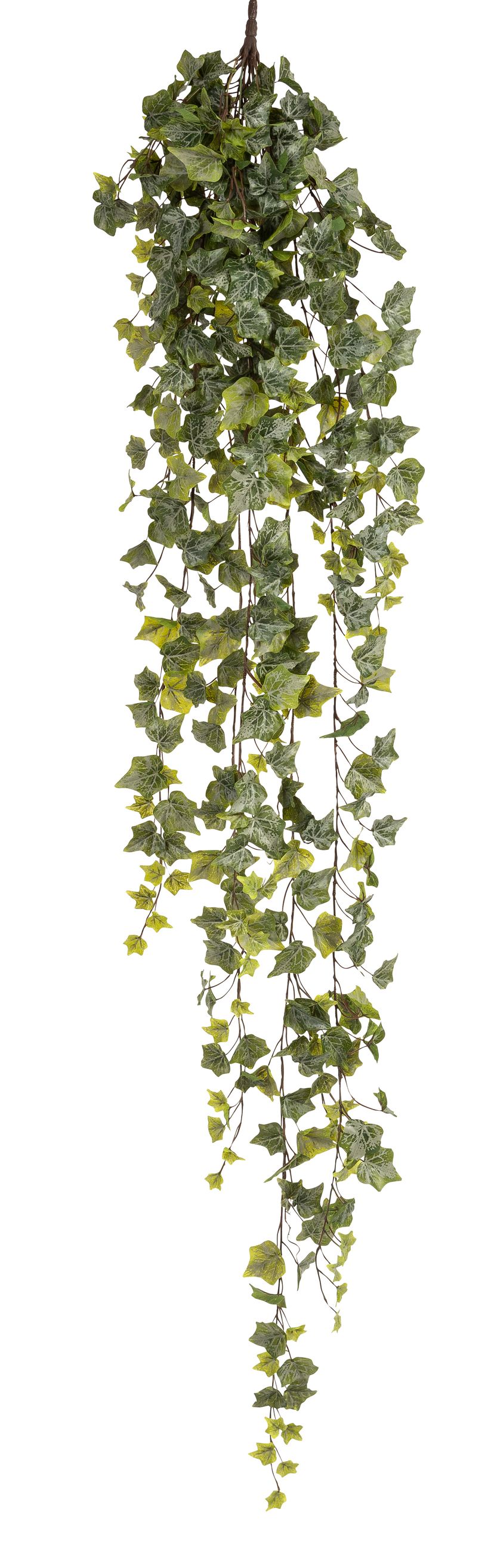 Efeubusch 17-fach x 423 180cm Blattgröße Ø ca. 3,5/4,5/6cm Farbe: grün-gemischt