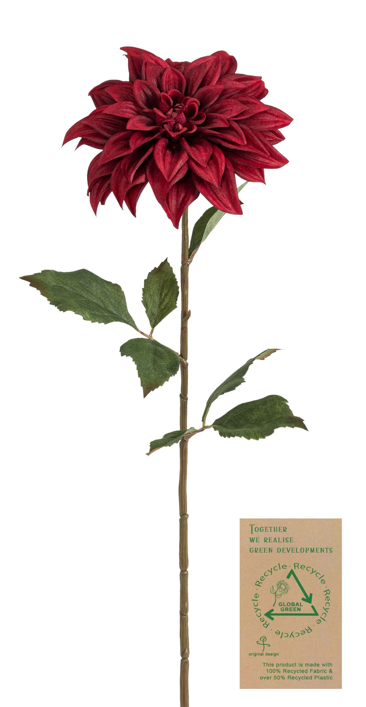 Dahlie RE 66cm Blütenkopf Ø ca. 16cm Farbe: burgund