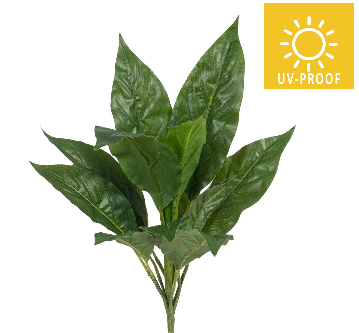 Spathiphyllumbusch UV x 14 41cm Farbe: grün