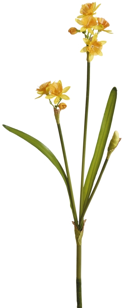 Narzisse 3-fach 55cm Blütenkopf Ø ca. 4cm Farbe: gelb