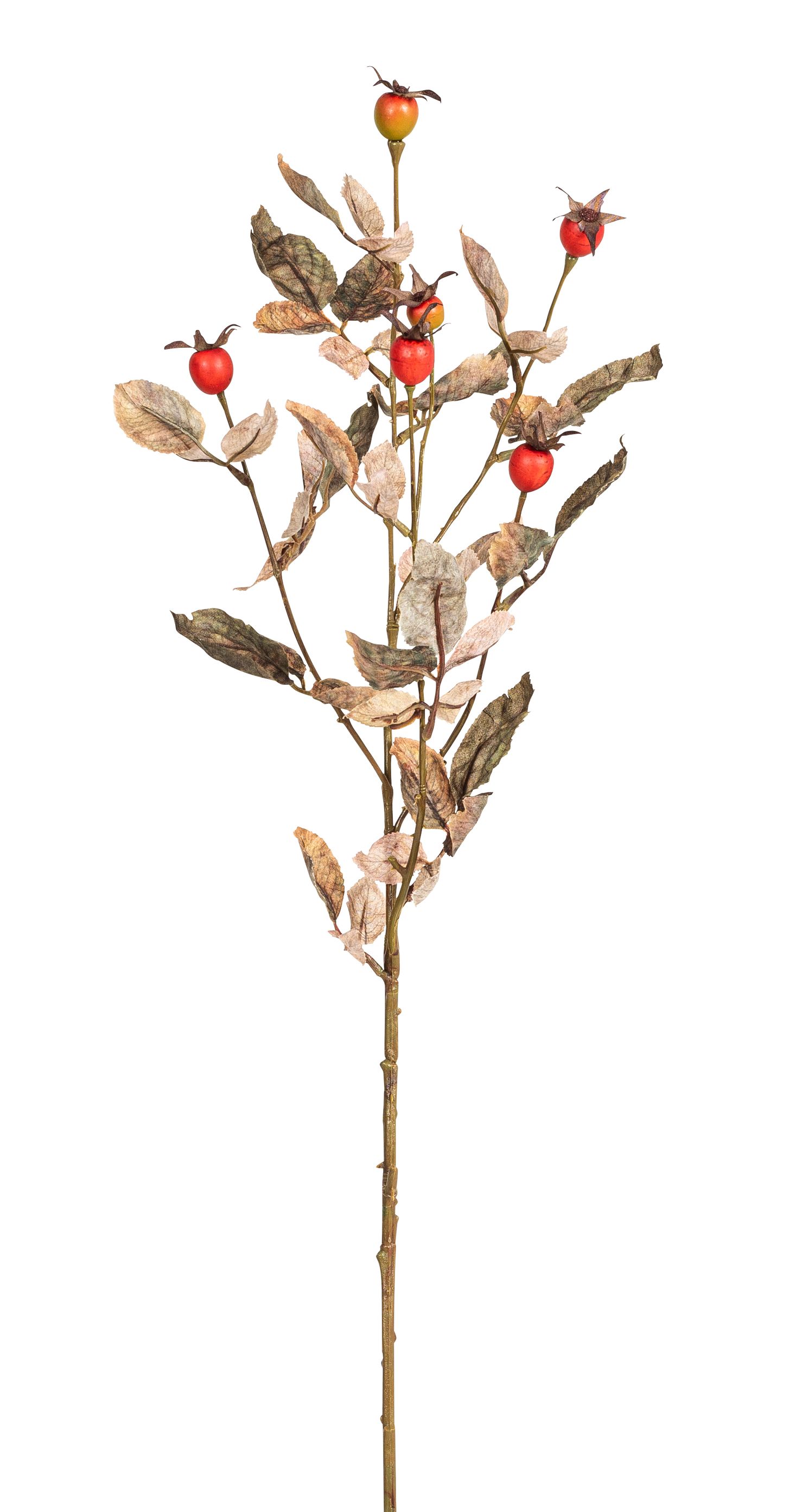 Hagebuttenzweig x 5 85cm Farbe: grün