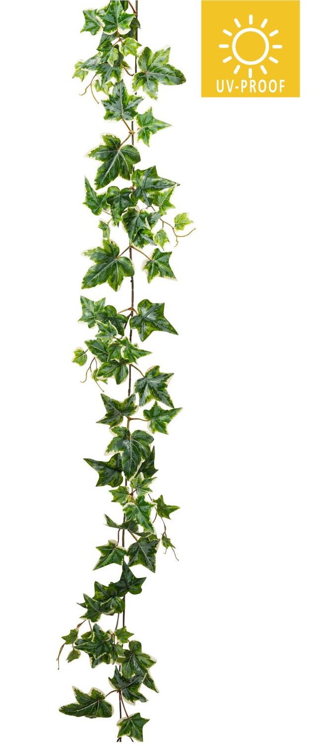 Efeugirlande UV x 79 150cm Farbe: grün-weiß