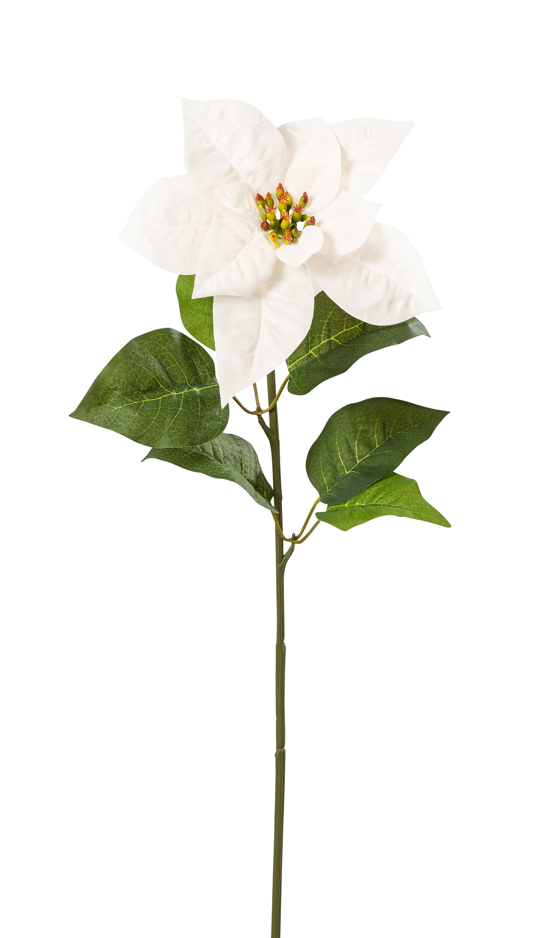 Velvet-Poinsettia mit Blätter 55cm Blütenkopf Ø ca. 21cm Farbe: weiß