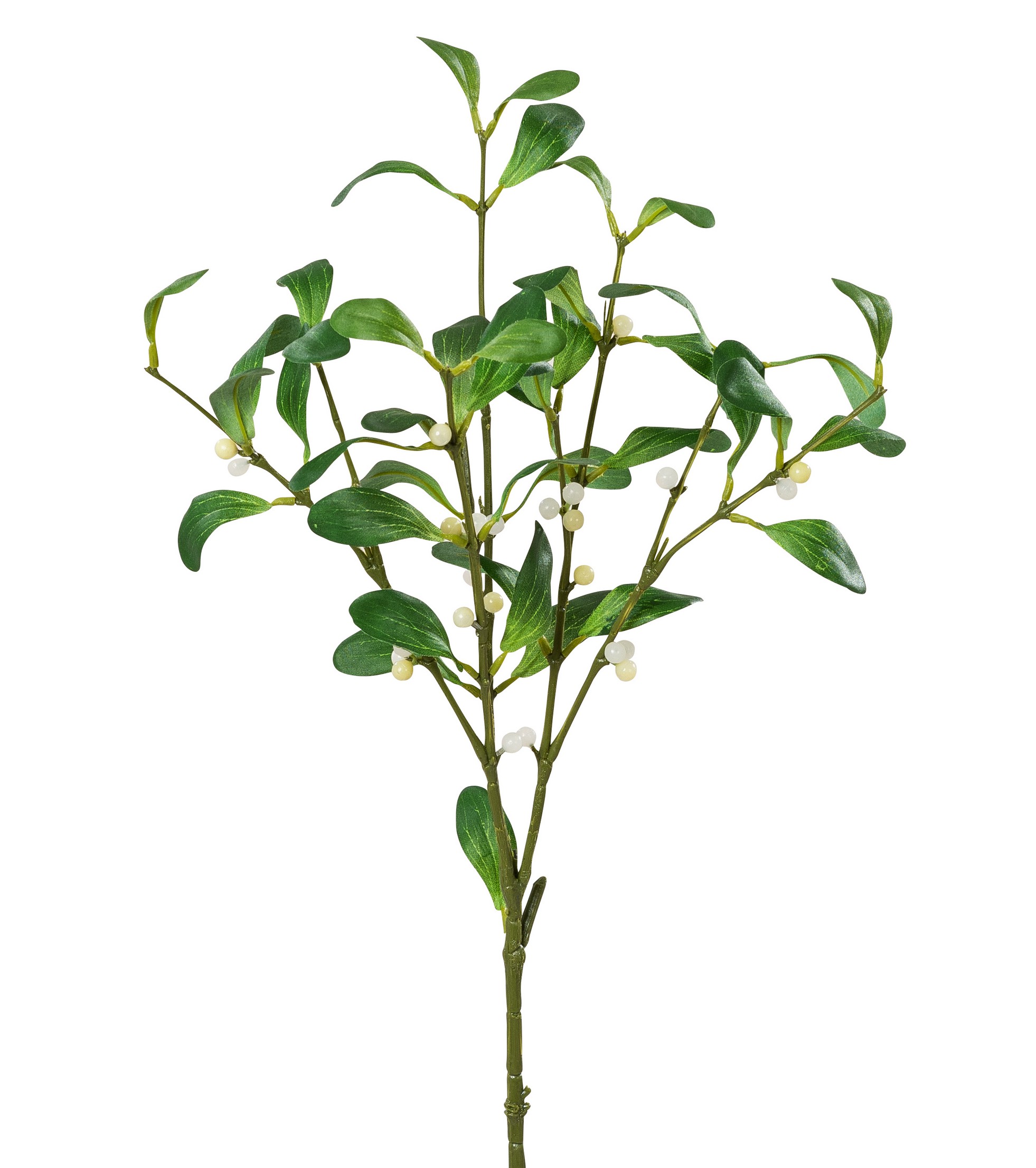 Mistelast 54cm Farbe: grün