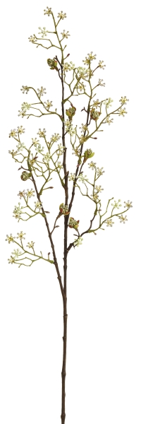 G.-Ahornblütenzw.4-f. 102cm Farbe: grün-silber