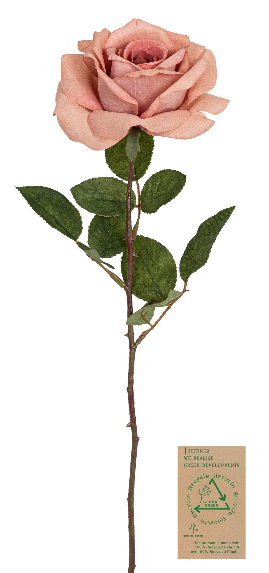 Prachtrose RE 63cm Blütenkopf Ø ca. 15cm Farbe: altrosé