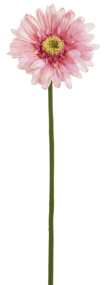 Gerbera 57cm Blütenkopf Ø ca. 10,5cm Farbe: rosé