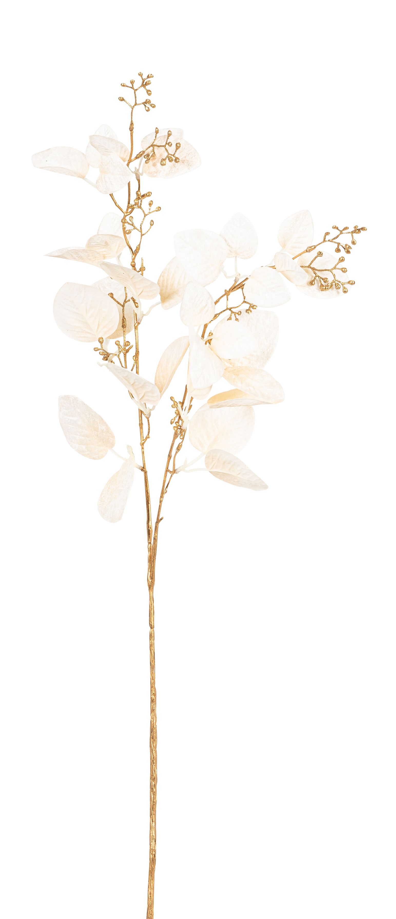 Velvet-Eukalyptusblätterzweig x 31 80cm Farbe: creme