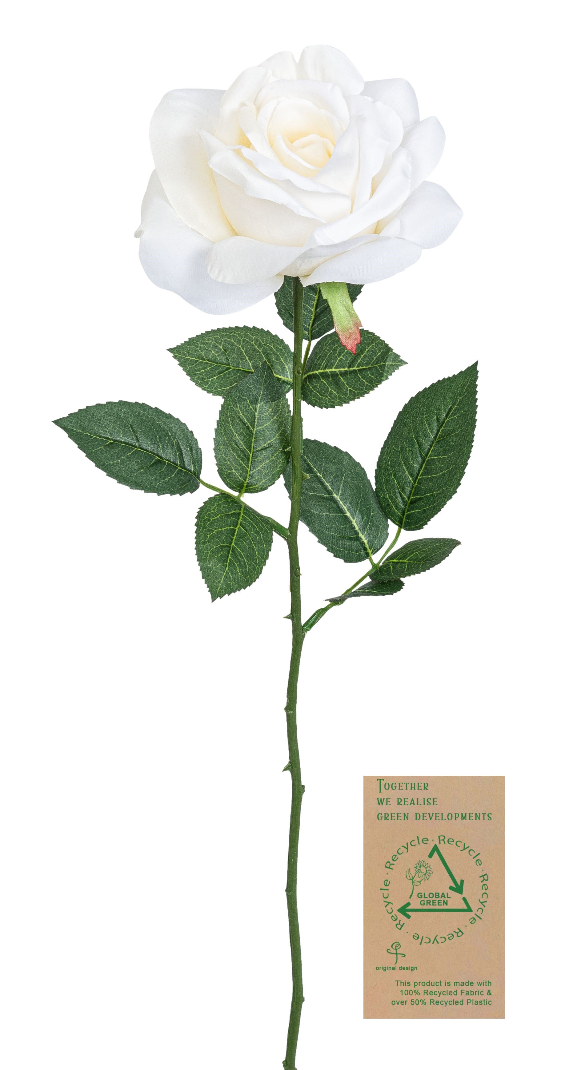 Rose RE 63cm Blütenkopf Ø ca. 13cm Farbe: elfenbein