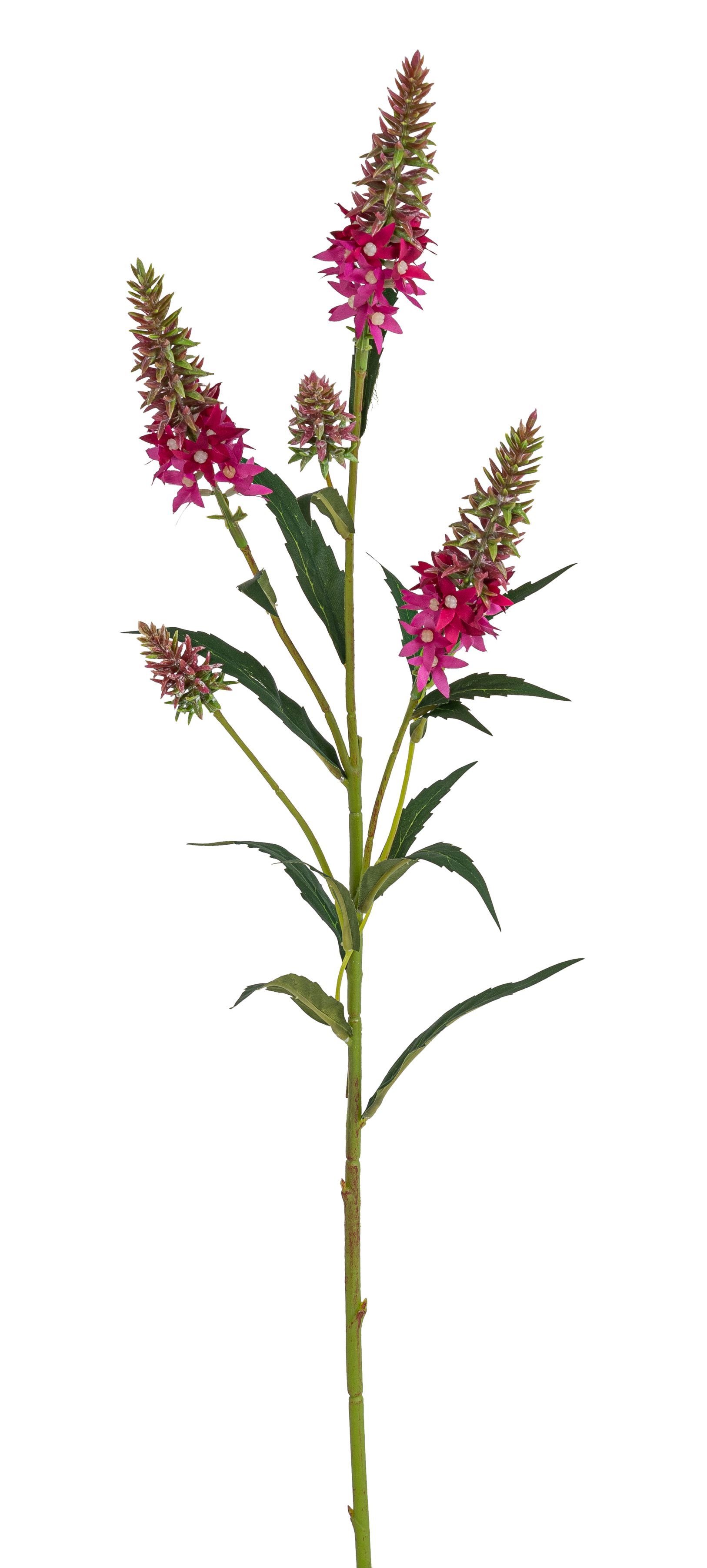 Astilbenzweig x 5 76cm Farbe: lila