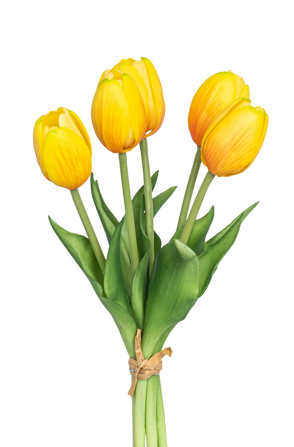 Tulpenbund x 5 26cm Blütenkopf Ø ca. 4cm Farbe: gelb