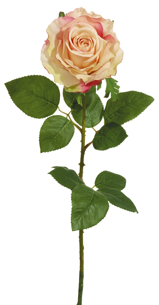 Edelrose 53cm Blütenkopf Ø ca. 9cm Farbe: lachs-rosé