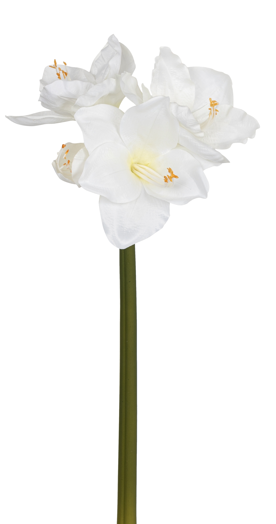 Amaryllis x 4 63cm Blütenkopf Ø ca. 4/14cm Farbe: weiß