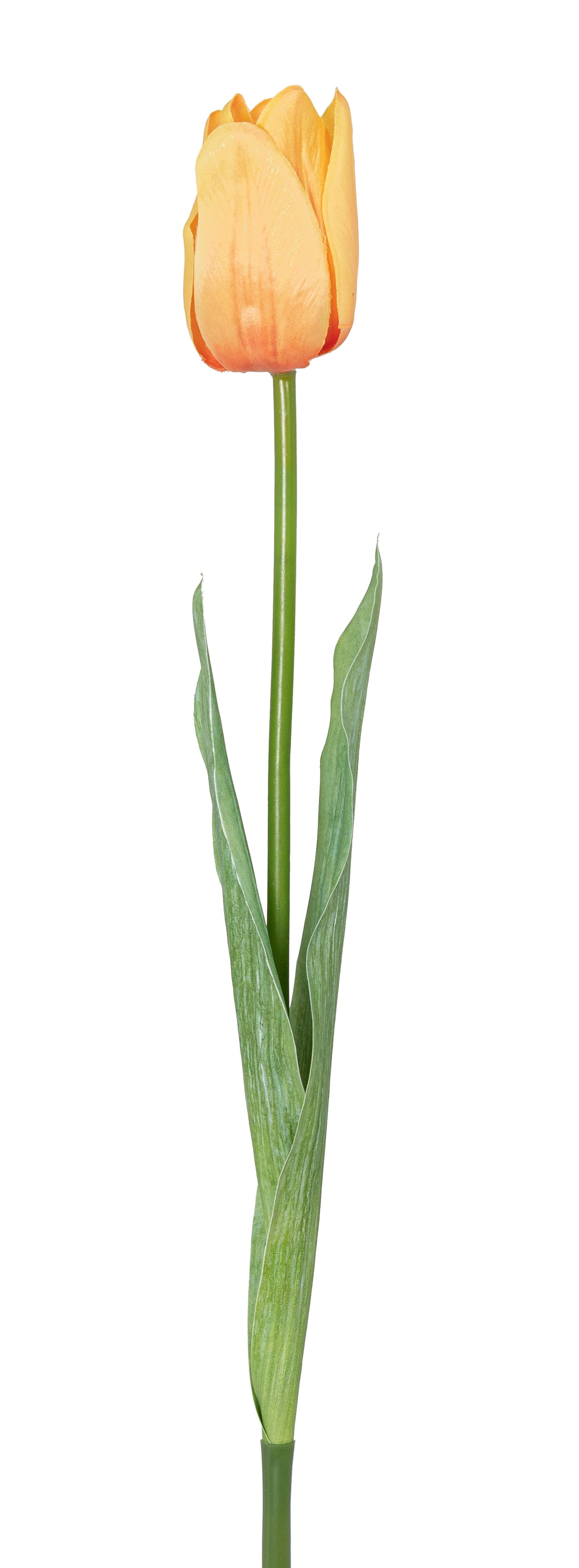 Tulpe 50cm Blütenkopf Ø ca. 4,5cm Farbe: gelb