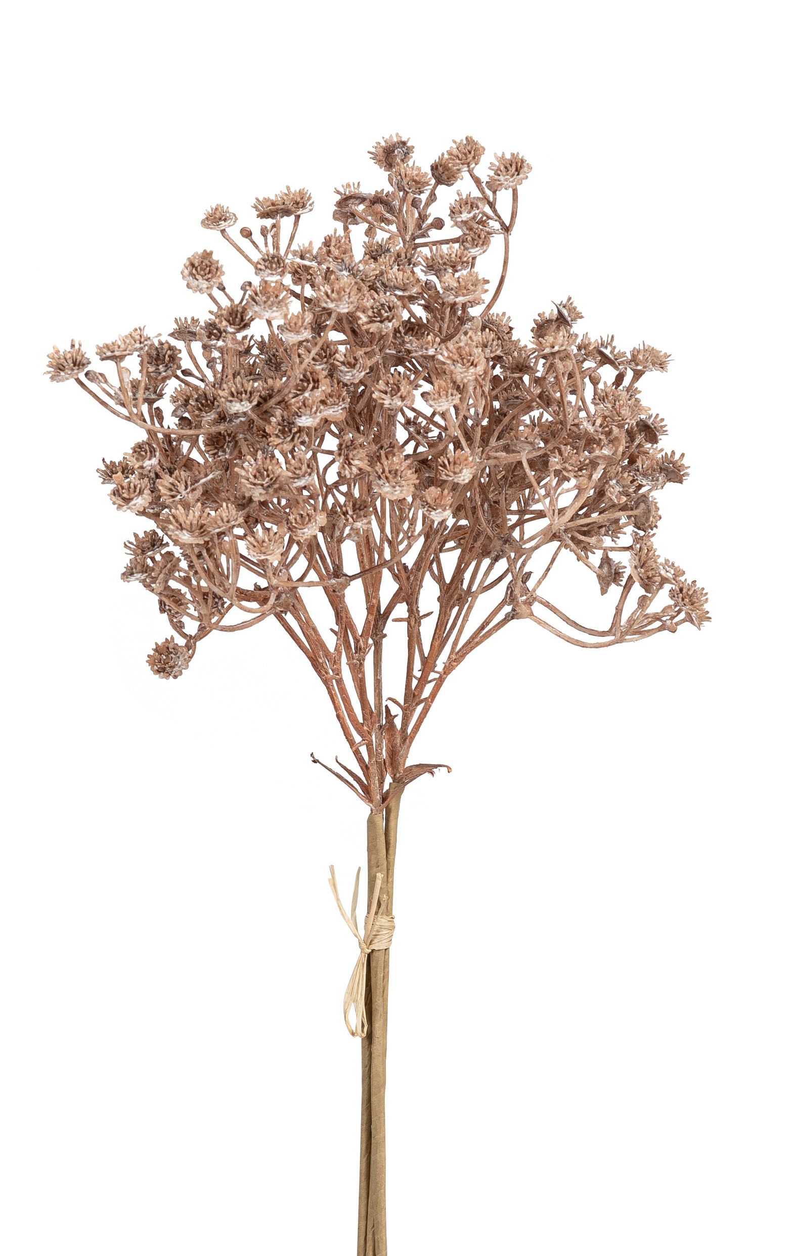 Gypsophilabund x 3 35cm Farbe: hellbraun