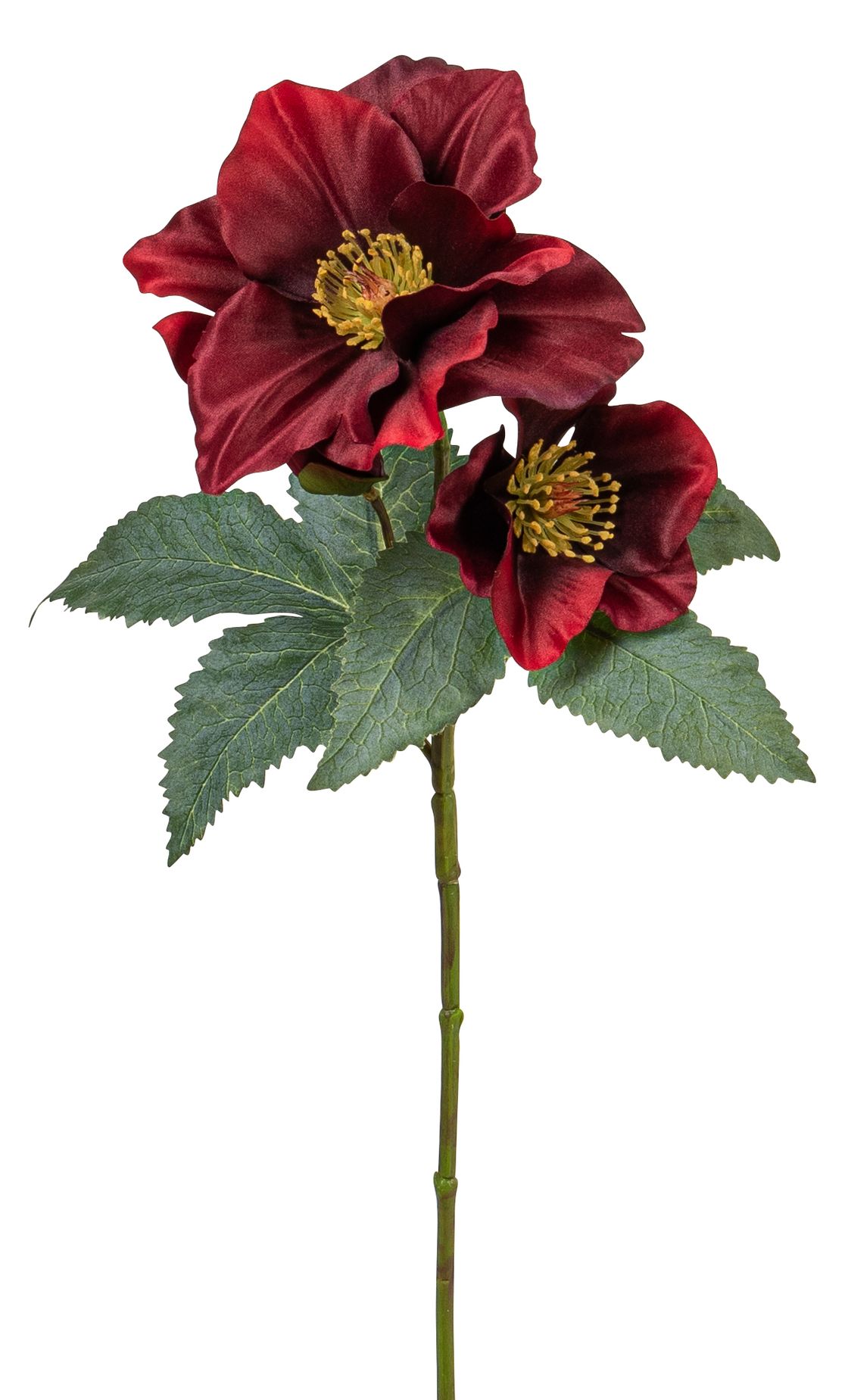 Christrose x 3 52cm Blütenkopf Ø ca. 2/8/13cm Farbe: rot