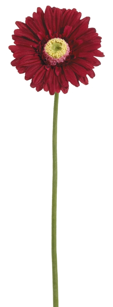 Gerbera 57cm Blütenkopf Ø ca. 10,5cm Farbe: altrot