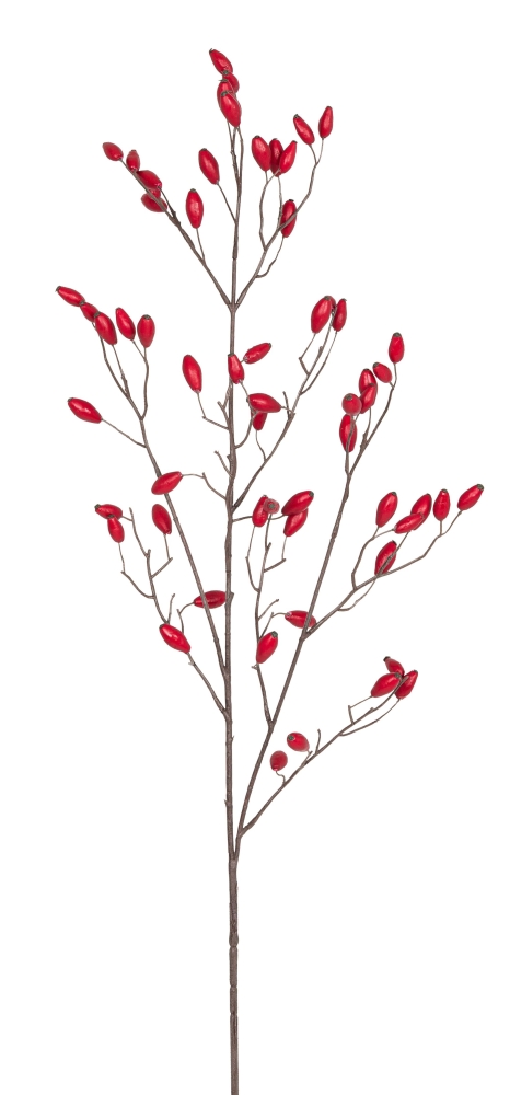 Hagebuttenzweig x 59 90cm Farbe: rot