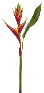 Heliconia mit Blatt 84cm Farbe: natur