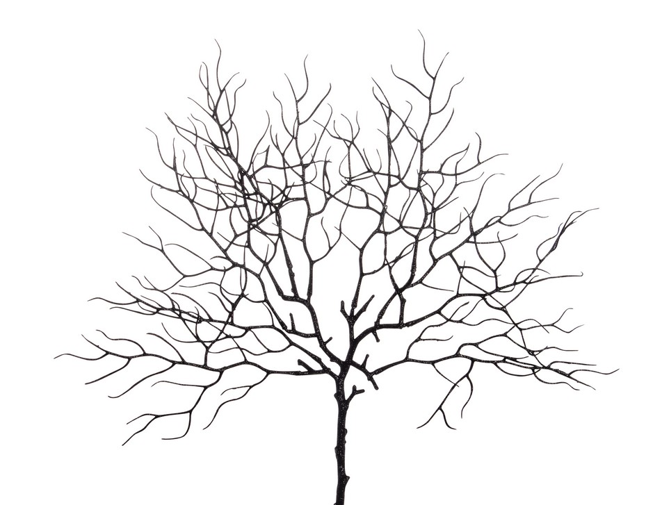 G.-Korallenzweig 44cm 