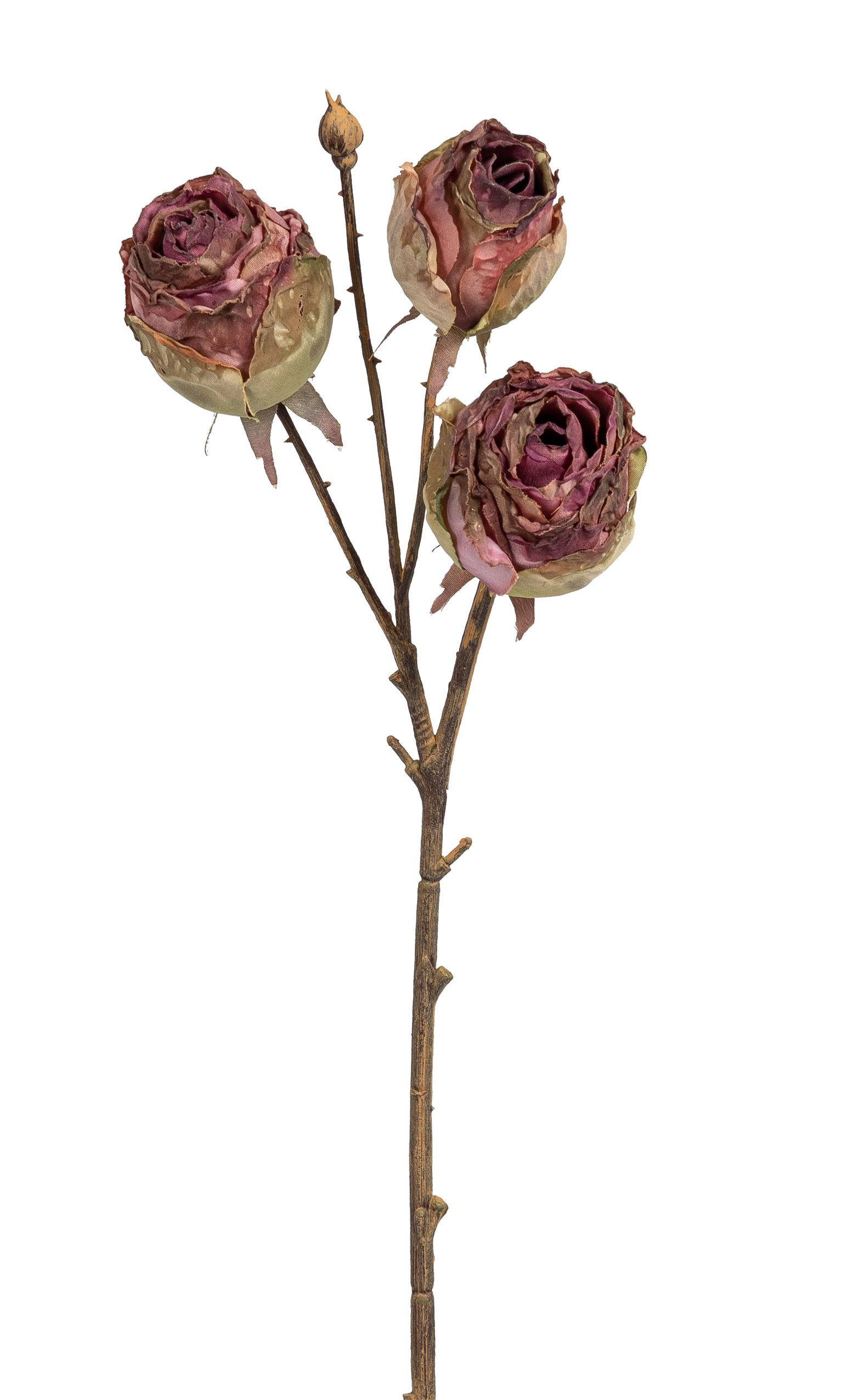 Rosenzweig x 3 44cm Blütenkopf Ø ca. 5cm Farbe: altrosé
