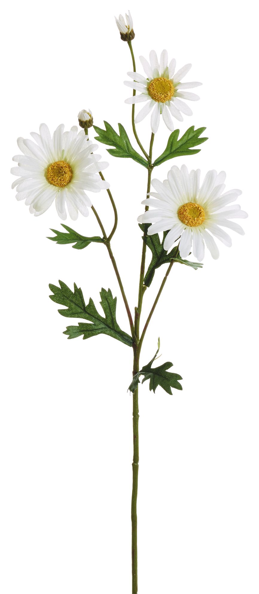 Margeritenzweig x 5 64cm Blütenkopf Ø ca. 8cm Farbe: weiß