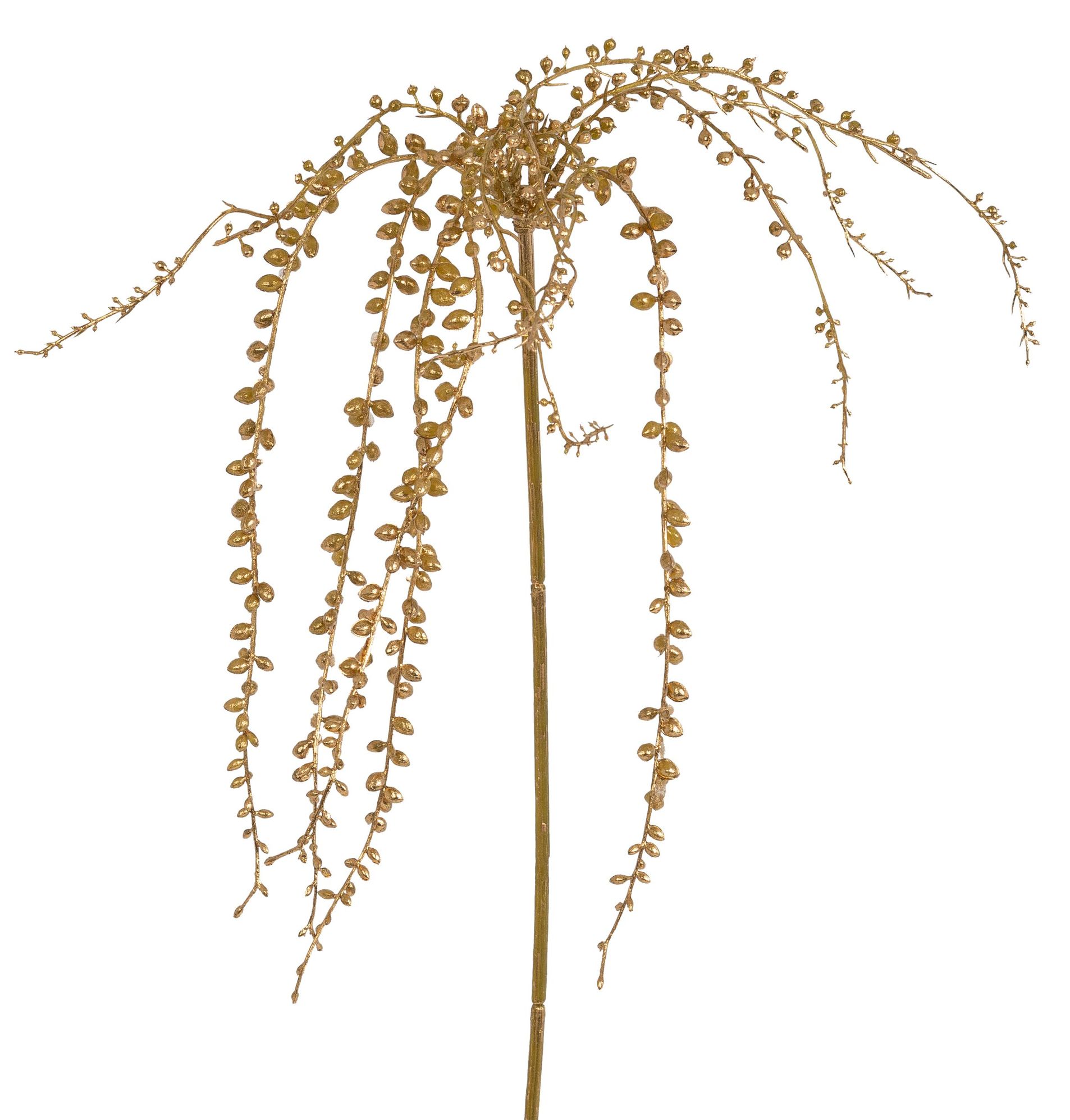 Seneciozweig x 12 80cm Farbe: gold