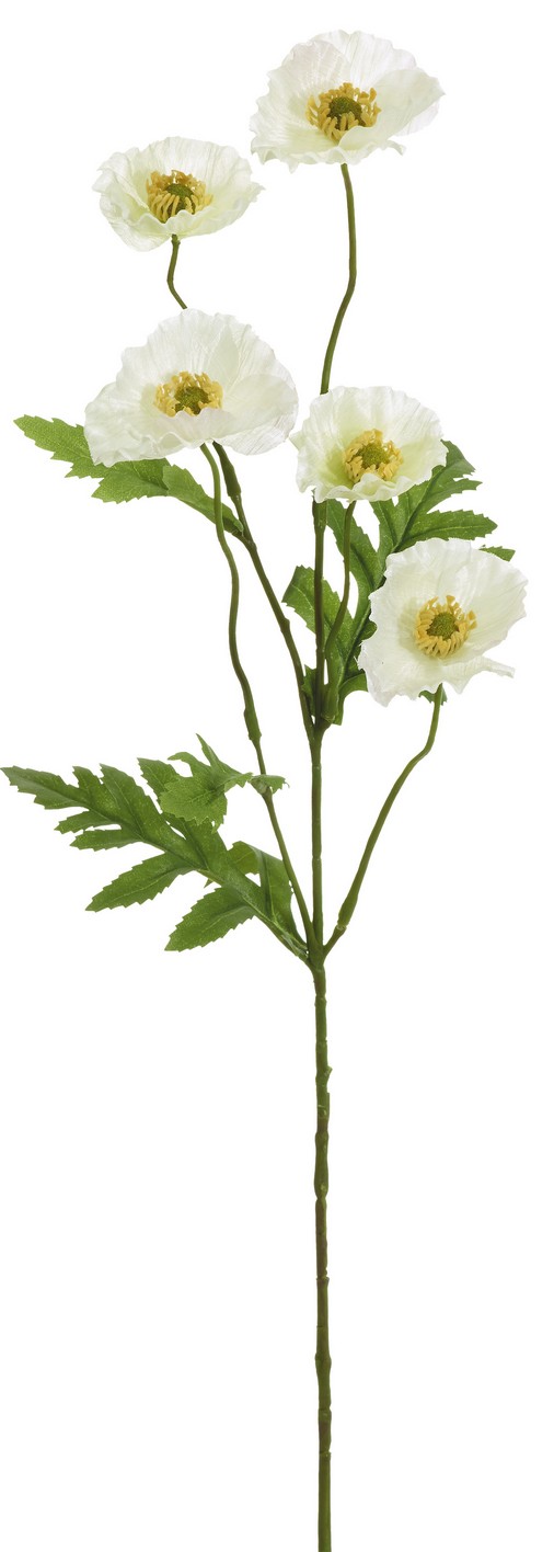 Mohnblume x 5 64cm Blütenkopf Ø ca. 4/5,5cm Farbe: weiß