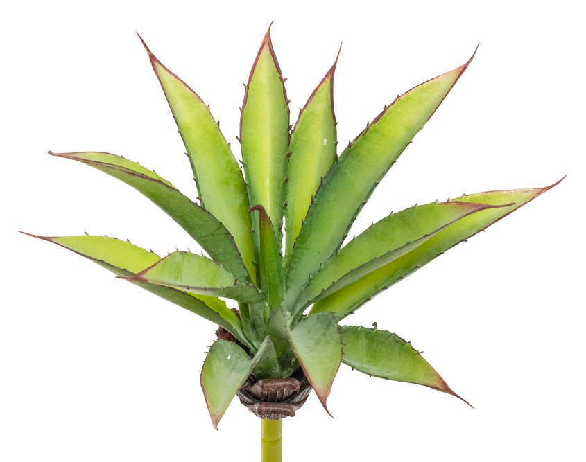 Agave 25cm Ø ca. 21cm Farbe: grün