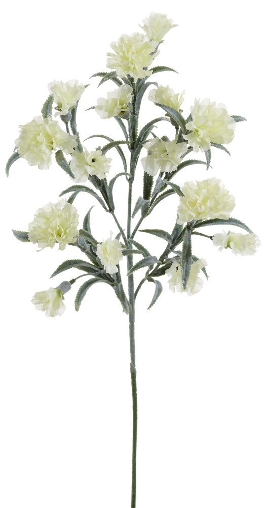 Nelkenzweig x 15 72cm Blütenkopf Ø ca. 3/4cm Farbe: elfenbein