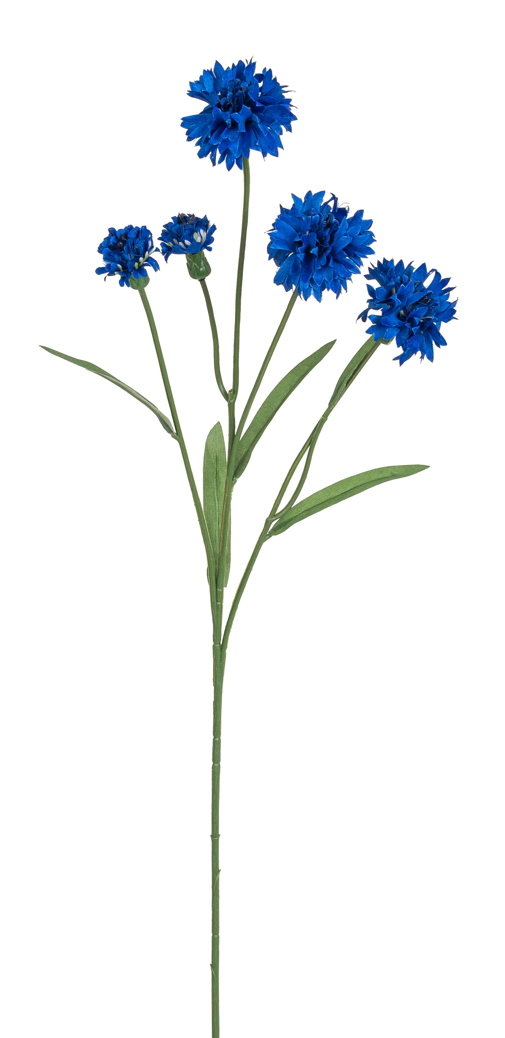 Kornblumenzweig x 5 61cm Blütenkopf Ø ca. 2,5/5cm Farbe: blau