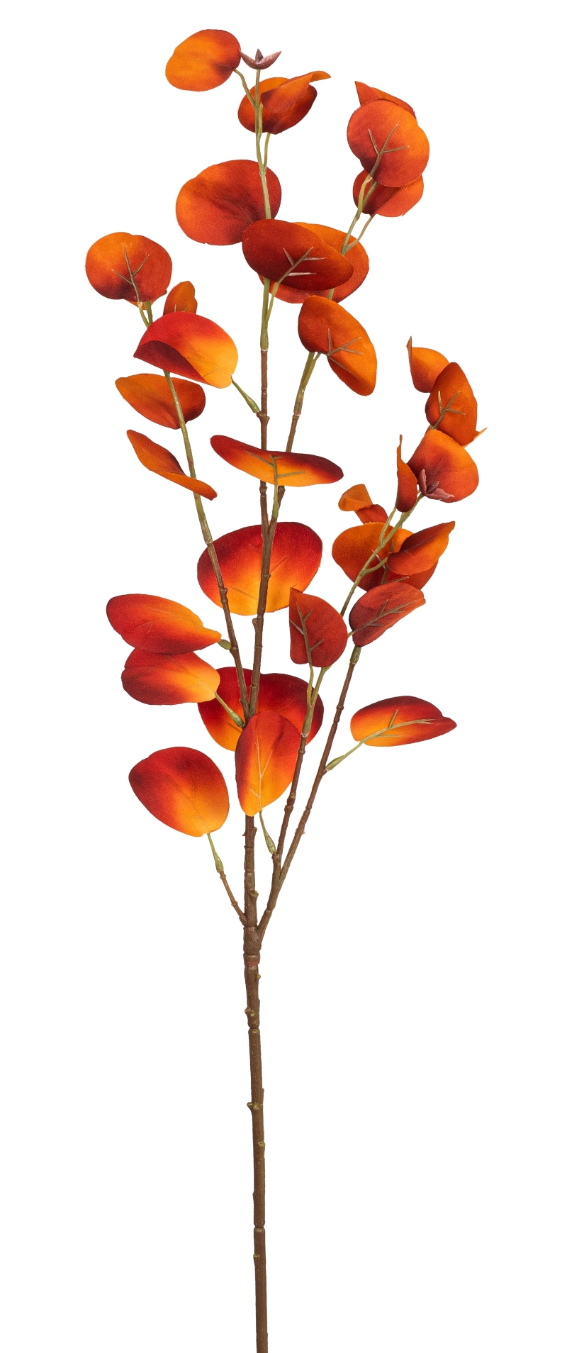 Eukalyptuszweig 2-fach 80cm Farbe: orange-rot