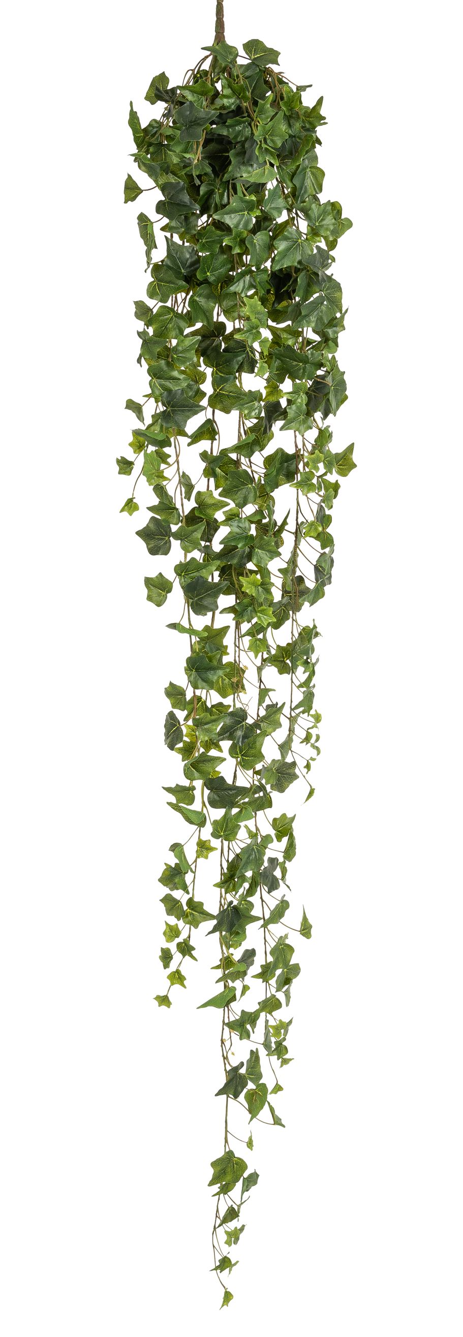 Efeubusch 17-fach x 423 180cm Blattgröße Ø ca. 3,5/4,5/6cm Farbe: grün