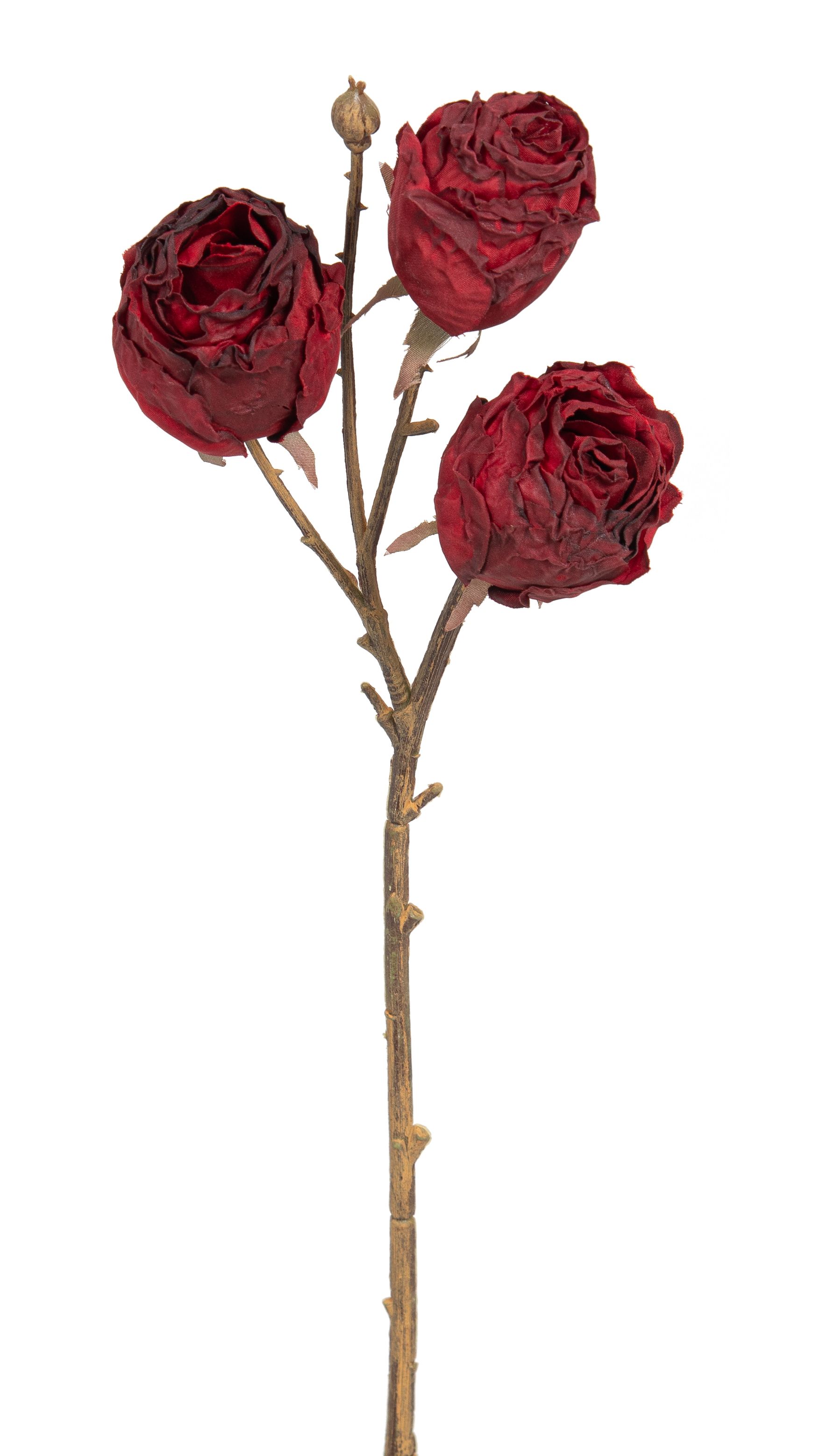 Rosenzweig x 3 44cm Blütenkopf Ø ca. 5cm Farbe: burgund