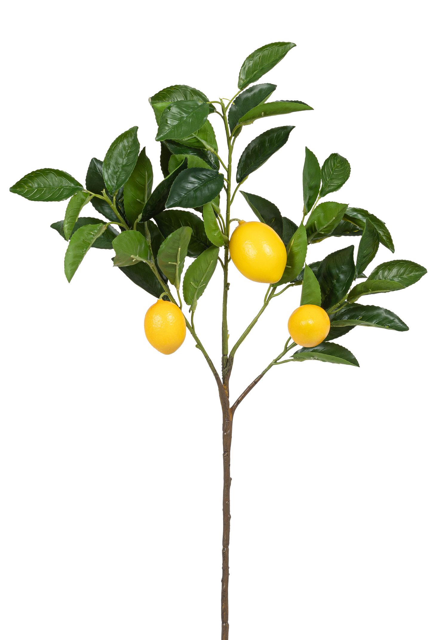 Zitronenzweig x 3 70cm Zitrone Ø ca. 5/7cm Farbe: gelb