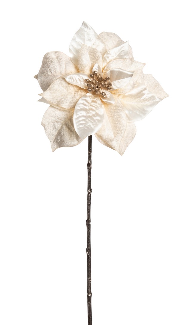 Velvet-Poinsettia 47cm Blütenkopf Ø ca. 17cm Farbe: creme