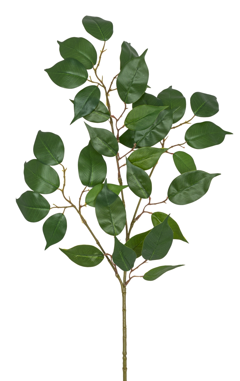 Ficuszweig x 33 87cm Farbe: grün