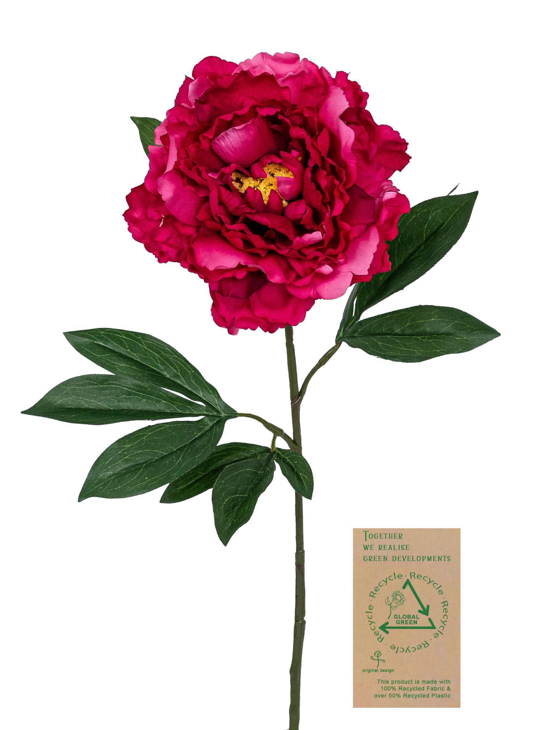 Päonie RE 80cm Blütenkopf Ø ca. 15cm Farbe: fuchsia