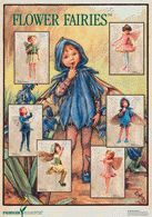 Poster-Flower-Fairies VII Farbe: grau
