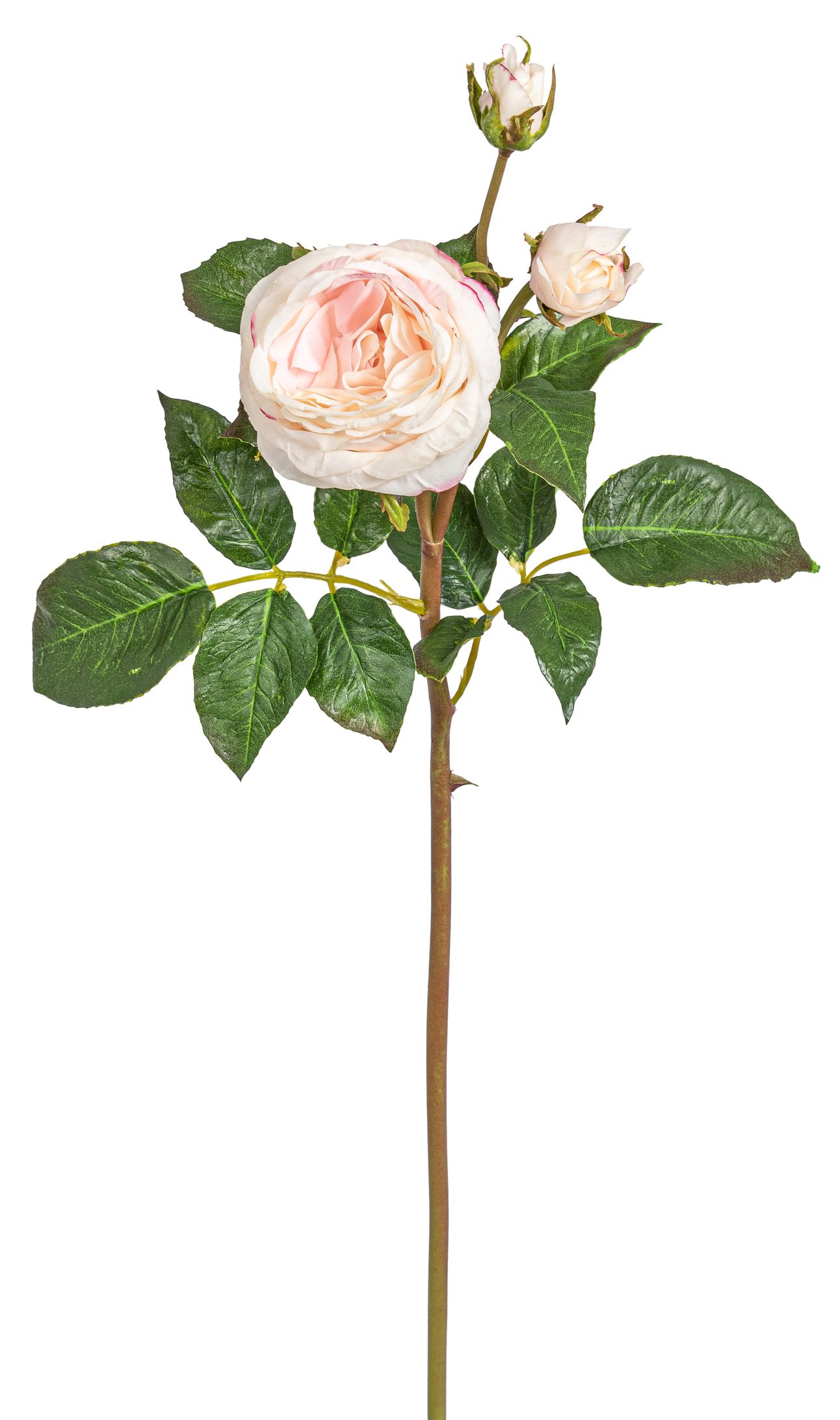 Gala-Rosenzweig x 3 52cm Blütenkopf Ø ca. 2/3/9cm Farbe: weiß-rose