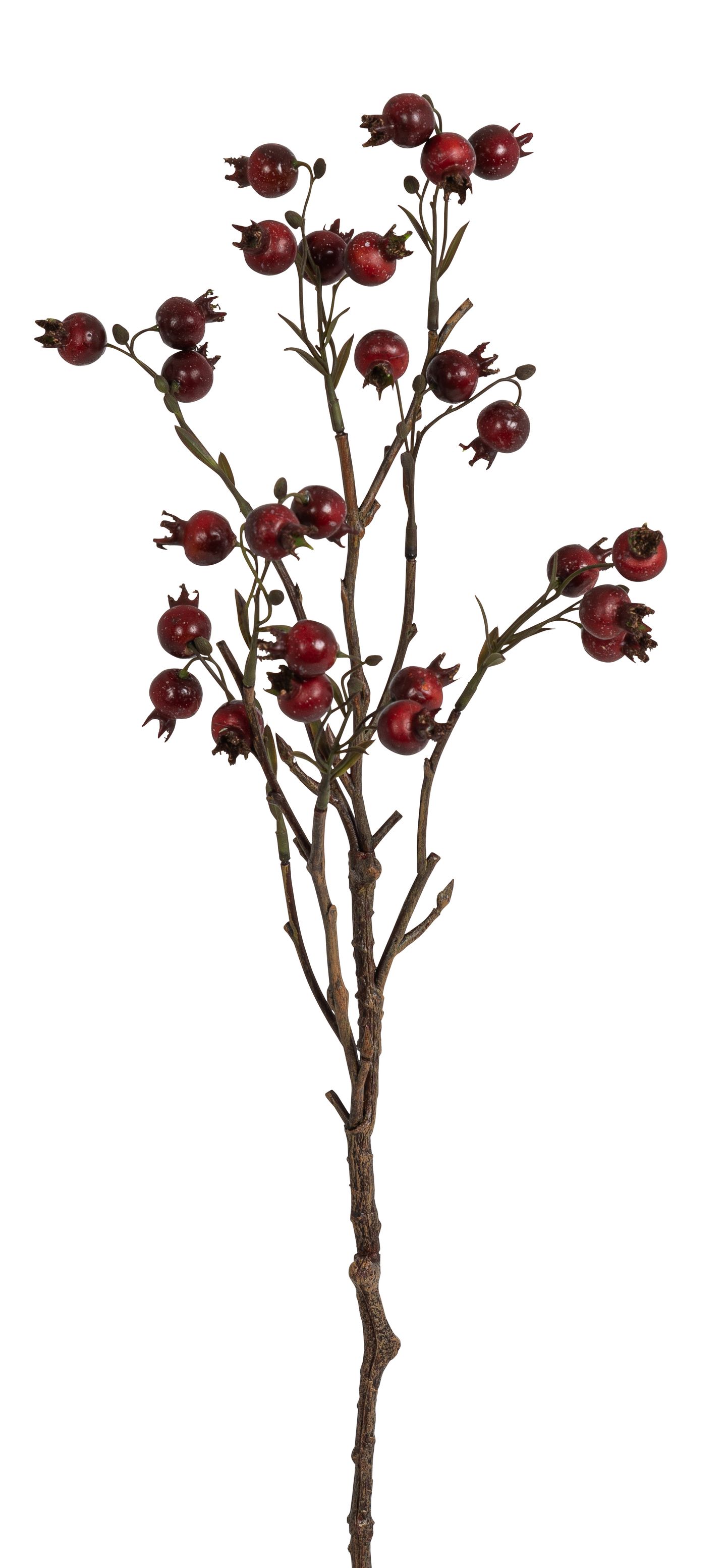 Hagebuttenzweig x 27 61cm Farbe: burgund