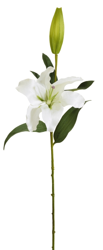 Lilie-Stargazer x 2 93cm Blütenkopf Ø ca. 18cm Farbe: weiß